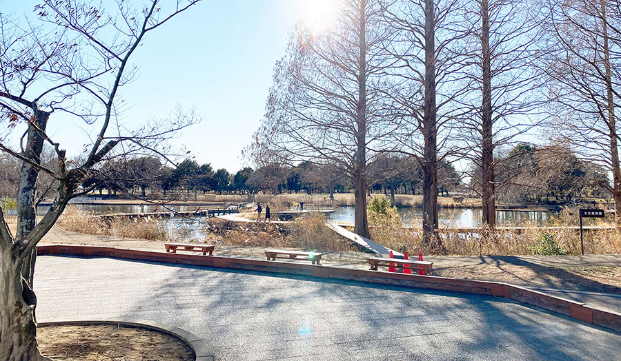 写真:羽生水郷公園