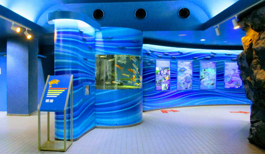 写真:さいたま水族館内部